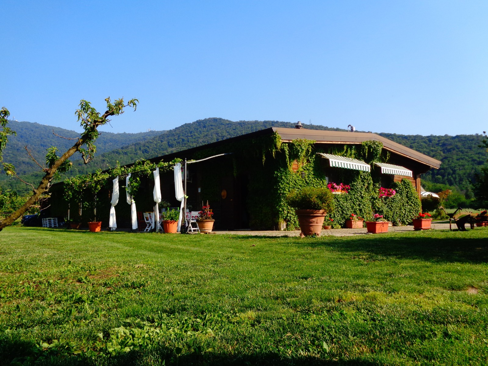 Yoga in Calina — momento 8